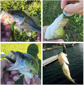 🐠Soft Bionic Fishing Lures